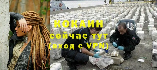 spice Аркадак