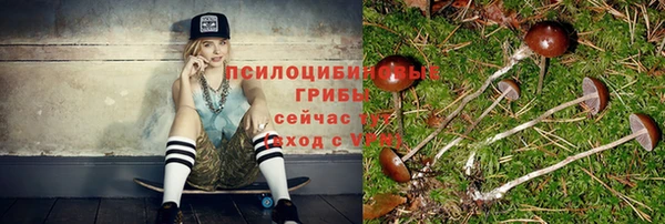 spice Аркадак