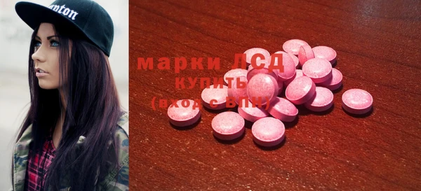 spice Аркадак
