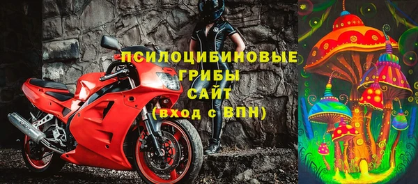 спайс Беломорск