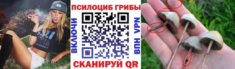 Галлюциногенные грибы мухоморы  Горняк 