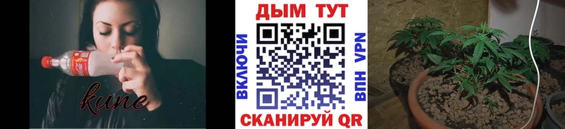 блэк спрут онион  где купить наркоту  Горняк  МАРИХУАНА Bruce Banner 